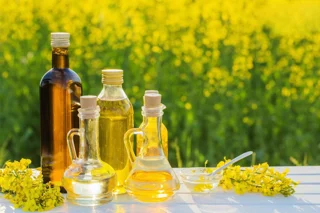 روغن کلزا