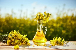 روغن کلزا خالص